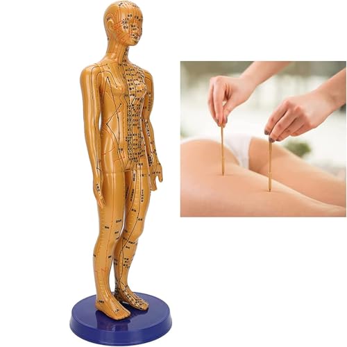 WBRSybUK- Akupunkturmodell Des Menschlichen Körpers, Massagemodell For Die Gesunde Pflege Des Weiblichen Körpers For Anfänger, Meridian-Akupunkturpunktmodell von WBRSybUK