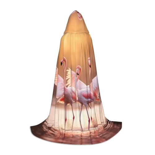 WCXTHGFA Halloween-Kostüm mit Flamingo-Druck, mittelalterlicher Umhang mit bequemer Kapuze, für Cosplay, Partys und mehr WCXTHGFA Halloween-Kostüm mit Flamingo-Druck, mittelalterlicher Umhang mit bequemer Kapuze, für Cosplay, Partys und mehr von WCXTHGFA