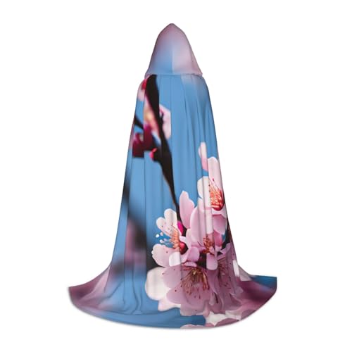 WCXTHGFA Halloween-Kostüm mit Pflaumenblüten-Druck, mittelalterlicher Umhang mit bequemer Kapuze, für Cosplay, Partys und mehr WCXTHGFA Halloween-Kostüm mit Pflaumenblüten-Druck, mittelalterlicher Umhang mit bequemer Kapuze, für Cosplay, Partys und mehr von WCXTHGFA