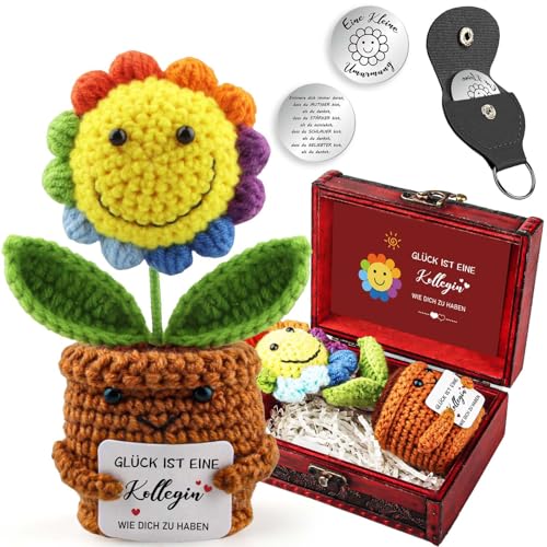 Beste Kollegin Geschenk Pocket Hug Positive Sonnenblume, Gestrickte Mehrfarbige Blumenpuppe Sonnenblumen mit Schlüsselanhänger & Grußkarte & Holz Schatzkiste, Glücksbringer Mutmacher Schreibtisch Deko von WDJLNZB