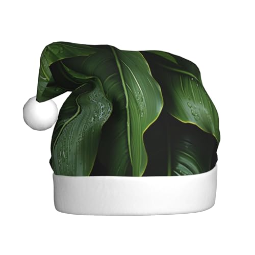 WDXQHY Bananenbaumblätter für Erwachsene, Plüsch-Weihnachtsmütze, festliche Feiertagsdekoration und Partyzubehör, Weihnachtsmütze für Erwachsene, Feiertagsparty-Dekorationen WDXQHY Bananenbaumblätter für Erwachsene, Plüsch-Weihnachtsmütze, festliche Feiertagsdekoration und Partyzubehör, Weihnachtsmütze für Erwachsene, Feiertagsparty-Dekorationen von WDXQHY