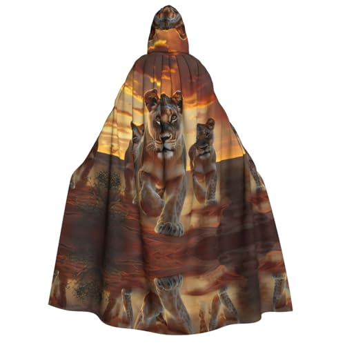 WDXQHY Halloween-Umhang für Erwachsene, mit Kapuze, Ganzkörper-Kostüm, Umhang für Cosplay-Partys und Themenveranstaltungen, 100 % Polyester, bequem, maschinenwaschbar, perfekt für Halloween-Bälle und WDXQHY Halloween-Umhang für Erwachsene, mit Kapuze, Ganzkörper-Kostüm, Umhang für Cosplay-Partys und Themenveranstaltungen, 100 % Polyester, bequem, maschinenwaschbar, perfekt für Halloween-Bälle und von WDXQHY