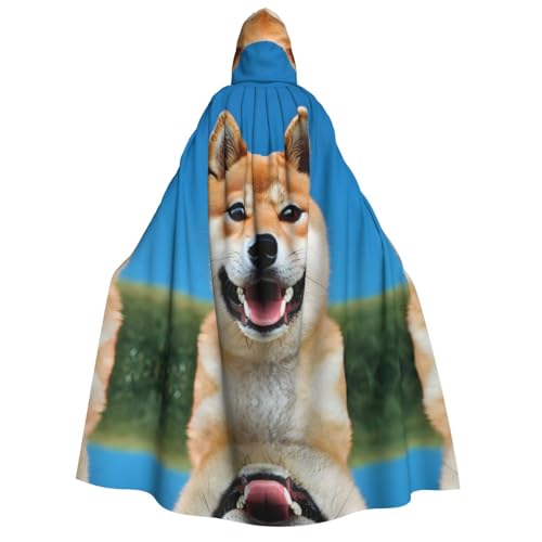 WDXQHY Halloween-Umhang für Erwachsene, mit Kapuze, Ganzkörper-Kostüm, Umhang für Cosplay-Partys und Themenveranstaltungen, 100 % Polyester, bequem, maschinenwaschbar, perfekt für Halloween-Bälle und WDXQHY Halloween-Umhang für Erwachsene, mit Kapuze, Ganzkörper-Kostüm, Umhang für Cosplay-Partys und Themenveranstaltungen, 100 % Polyester, bequem, maschinenwaschbar, perfekt für Halloween-Bälle und von WDXQHY