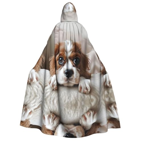 WDXQHY Halloween-Umhang für Erwachsene, mit Kapuze, Ganzkörper-Kostüm, Umhang für Cosplay-Partys und Themenveranstaltungen, 100 % Polyester, bequem, maschinenwaschbar, perfekt für Halloween-Bälle und WDXQHY Halloween-Umhang für Erwachsene, mit Kapuze, Ganzkörper-Kostüm, Umhang für Cosplay-Partys und Themenveranstaltungen, 100 % Polyester, bequem, maschinenwaschbar, perfekt für Halloween-Bälle und von WDXQHY