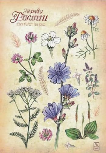 1000 Puzzle Teile ，Vintage Flowers Plants Poster Painting ，Difficult ，Für Familien-Puzzle-Spielzeug Zur Stressbewältigung Für Erwachsene - Zp322Aw von WDZFF