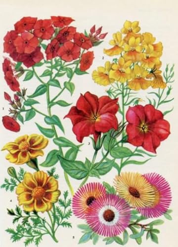 1000 Puzzle Teile ，Vintage Flowers Plants Poster Painting ，Difficult ，Für Familien-Puzzle-Spielzeug Zur Stressbewältigung Für Erwachsene - Zp323Aw von WDZFF