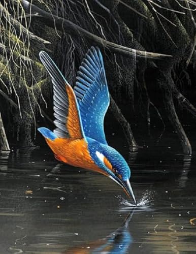 Animal Kingfishers, Rätsel 1000 Stück, Art Colour Jigsaw, Fun Spiel Toy Posters Educational Spiel for Memory Spiels for The Ältere Gifts BE618KA von WDZFF