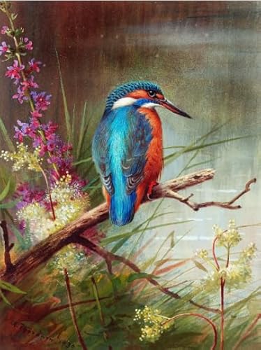 Animal Kingfishers, Rätsel 1000 Stück, Art Colour Jigsaw, Fun Spiel Toy Posters Educational Spiel for Memory Spiels for The Ältere Gifts BE620KA von WDZFF