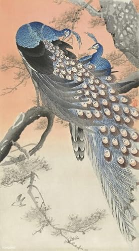 Chinese Style Peacockss Gongbi Painting,Puzzles Puzzle 1000 Teile, Unregelmäßige Puzzle-Teile,Wand Kunst Dekoration,Erwachsene Challenge Game - Zy309Ps von WDZFF