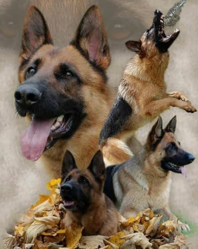 German Shepherds Plakats,1000 Teile Puzzles,Memory-Spiele Für Adults,Familie Stress Relief Spielzeug,Wand Kunst Dekoration Fw474Zw von WDZFF
