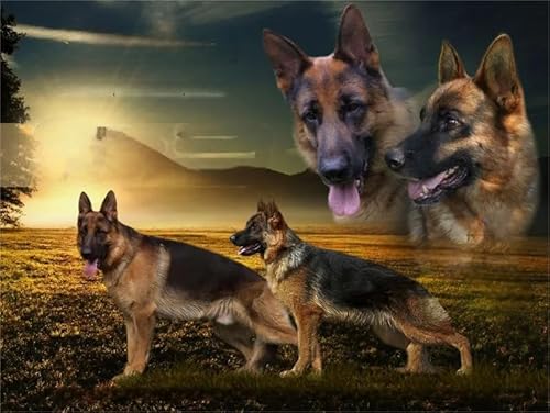 German Shepherds Plakats,1000 Teile Puzzles,Memory-Spiele Für Adults,Familie Stress Relief Spielzeug,Wand Kunst Dekoration Fw477Zw German Shepherds Plakats,1000 Teile Puzzles,Memory-Spiele Für Adults,Familie Stress Relief Spielzeug,Wand Kunst Dekoration Fw477Zw von WDZFF