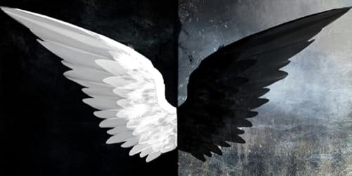Puzzles 1000 Teile,Black White Angelss Wings Abstract Puzzles,Für Memory-Spiele Für The Elderly,Lernspielzeug Für Familien Fw356Zw Puzzles 1000 Teile,Black White Angelss Wings Abstract Puzzles,Für Memory-Spiele Für The Elderly,Lernspielzeug Für Familien Fw356Zw von WDZFF