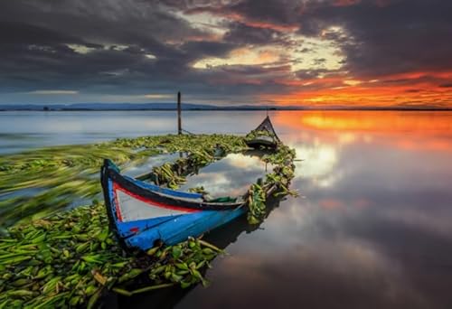 Puzzles 1000 Teile ,Unregelmäßige Kunst Puzzle ,Gedächtnisspiele Für Erwachsene ,Spielzeug Zur Stressbewältigung Für Familien,Boats Landscapes Posters - Zp13Aw Puzzles 1000 Teile ,Unregelmäßige Kunst Puzzle ,Gedächtnisspiele Für Erwachsene ,Spielzeug Zur Stressbewältigung Für Familien,Boats Landscapes Posters - Zp13Aw von WDZFF
