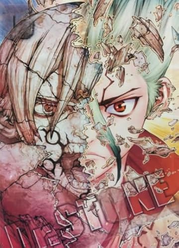 WDZFF 1000 Stück ，Bunt Puzzles ，Bilder ，Gifts ，Japanese Animes Dr.Stone Ishigami ，Personalisiertes Spielzeug Für Erwachsene Für Kinder - Kx292Zs von WDZFF