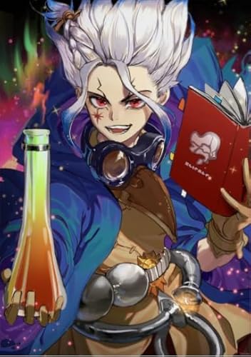 WDZFF 1000 Stück ，Bunt Puzzles ，Bilder ，Gifts ，Japanese Animes Dr.Stone Ishigami ，Personalisiertes Spielzeug Für Erwachsene Für Kinder - Kx293Zs von WDZFF