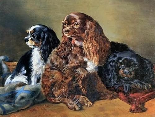 WDZFF 1000 Stück Puzzles, Charless Spaniels Posters, Für Gedächtnis- Und Wahrnehmungs Spiele, Bunt Puzzle, Lernspielzeug Für Kinder Sx111Zp WDZFF 1000 Stück Puzzles, Charless Spaniels Posters, Für Gedächtnis- Und Wahrnehmungs Spiele, Bunt Puzzle, Lernspielzeug Für Kinder Sx111Zp von WDZFF