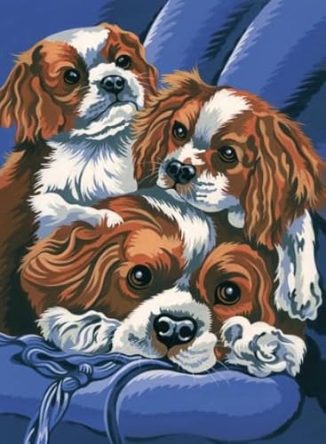 WDZFF 1000 Stück Puzzles, Charless Spaniels Posters, Für Gedächtnis- Und Wahrnehmungs Spiele, Bunt Puzzle, Lernspielzeug Für Kinder Sx113Zp WDZFF 1000 Stück Puzzles, Charless Spaniels Posters, Für Gedächtnis- Und Wahrnehmungs Spiele, Bunt Puzzle, Lernspielzeug Für Kinder Sx113Zp von WDZFF