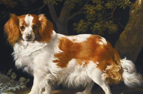 WDZFF 1000 Stück Puzzles, Charless Spaniels Posters, Für Gedächtnis- Und Wahrnehmungs Spiele, Bunt Puzzle, Lernspielzeug Für Kinder Sx115Zp WDZFF 1000 Stück Puzzles, Charless Spaniels Posters, Für Gedächtnis- Und Wahrnehmungs Spiele, Bunt Puzzle, Lernspielzeug Für Kinder Sx115Zp von WDZFF