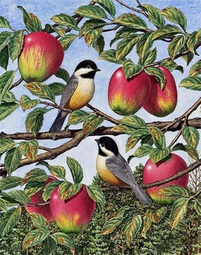 WDZFF Birds Paintings Kunst Plakat,Puzzles 1000 Teile, Buntes Puzzle ，Elderly Gedächtnis Kognitions Spiele, Familien Spiele Zum Stressabbau Xa696Wp von WDZFF
