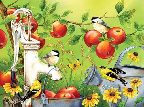 WDZFF Birds Paintings Kunst Plakat,Puzzles 1000 Teile, Buntes Puzzle ，Elderly Gedächtnis Kognitions Spiele, Familien Spiele Zum Stressabbau Xa699Wp von WDZFF