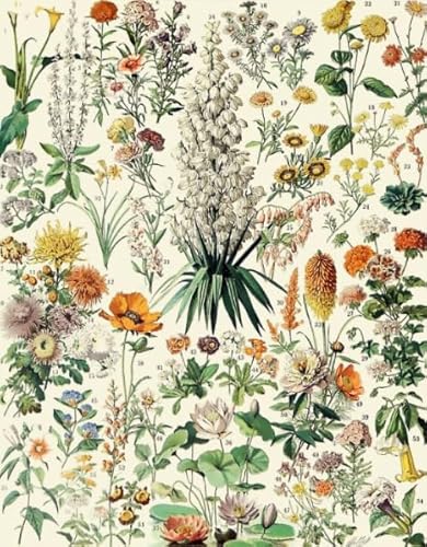 WDZFF Colourful - Difficult Puzzle - 1000 Pcs Puzzle - Vintage Botanical Flowers Posters - Pädagogisches Spielzeug Zum Stressabbau Für Die Ganze Familie - Kx54Zs WDZFF Colourful - Difficult Puzzle - 1000 Pcs Puzzle - Vintage Botanical Flowers Posters - Pädagogisches Spielzeug Zum Stressabbau Für Die Ganze Familie - Kx54Zs von WDZFF