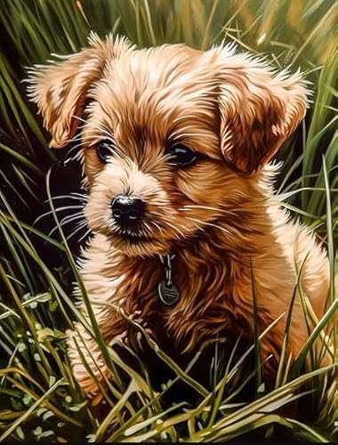 WDZFF Dogs Art Paintings ，Irregular Puzzle Pieces ，Für Kinder Spielzeug Lernspiele Plakats ，Heim-Dekoration ，Puzzle 1000 Teile Kq435Zp von WDZFF