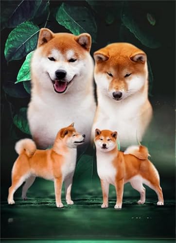 WDZFF Puzzle 1000 Stück - Kunstbild - Puzzle Art Picture - Japan Akita-Inu Dog Posters - Family's Educational Toys - Gedächtnis- Und Wahrnehmungs Spiele Für Ältere Menschen Gifts - Jx219Zp von WDZFF