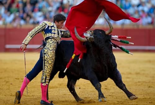 WDZFF Puzzle 1000 Stück - Pain Bullfights Posters - Personalisiertes Heraus Forderungs Spielzeug Für Erwachsene -Familienspaß-Herausforderungs Spielzeug - Wall Art Decor Gifts Jx170Zp WDZFF Puzzle 1000 Stück - Pain Bullfights Posters - Personalisiertes Heraus Forderungs Spielzeug Für Erwachsene -Familienspaß-Herausforderungs Spielzeug - Wall Art Decor Gifts Jx170Zp von WDZFF