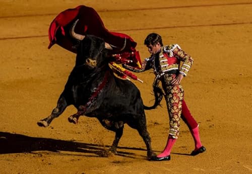 WDZFF Puzzle 1000 Stück - Pain Bullfights Posters - Personalisiertes Heraus Forderungs Spielzeug Für Erwachsene -Familienspaß-Herausforderungs Spielzeug - Wall Art Decor Gifts Jx171Zp WDZFF Puzzle 1000 Stück - Pain Bullfights Posters - Personalisiertes Heraus Forderungs Spielzeug Für Erwachsene -Familienspaß-Herausforderungs Spielzeug - Wall Art Decor Gifts Jx171Zp von WDZFF