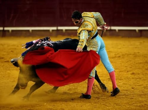 WDZFF Puzzle 1000 Stück - Pain Bullfights Posters - Personalisiertes Heraus Forderungs Spielzeug Für Erwachsene -Familienspaß-Herausforderungs Spielzeug - Wall Art Decor Gifts Jx172Zp von WDZFF
