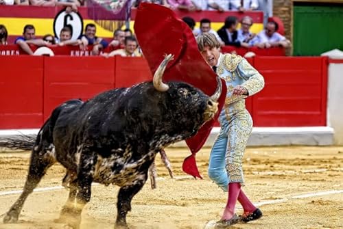 WDZFF Puzzle 1000 Stück - Pain Bullfights Posters - Personalisiertes Heraus Forderungs Spielzeug Für Erwachsene -Familienspaß-Herausforderungs Spielzeug - Wall Art Decor Gifts Jx173Zp von WDZFF