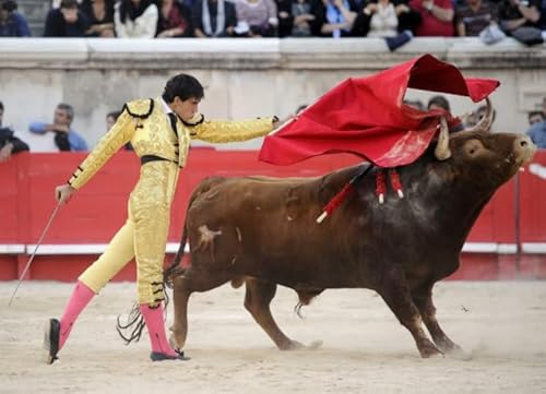 WDZFF Puzzle 1000 Stück - Pain Bullfights Posters - Personalisiertes Heraus Forderungs Spielzeug Für Erwachsene -Familienspaß-Herausforderungs Spielzeug - Wall Art Decor Gifts Jx174Zp von WDZFF