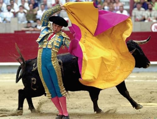 WDZFF Puzzle 1000 Stück - Pain Bullfights Posters - Personalisiertes Heraus Forderungs Spielzeug Für Erwachsene -Familienspaß-Herausforderungs Spielzeug - Wall Art Decor Gifts Jx175Zp WDZFF Puzzle 1000 Stück - Pain Bullfights Posters - Personalisiertes Heraus Forderungs Spielzeug Für Erwachsene -Familienspaß-Herausforderungs Spielzeug - Wall Art Decor Gifts Jx175Zp von WDZFF