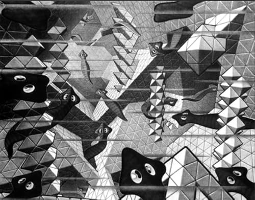 Wand Kunst-Dekoration - Difficult Puzzle - Spiel Für Erwachsene - 1000 Puzzle Teile - M C Eschers Art Geometrys - Zp335Aw von WDZFF