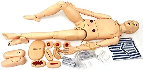 WEISSBIGR Anatomiemodell, Skelettmodell, Patientenversorgungssimulator, menschliches anatomisches Modell mit Einer Vielzahl Abnehmbarer Traumamodule für die medizinische Ausbildung, Lehrausbildung von WEISSBIGR