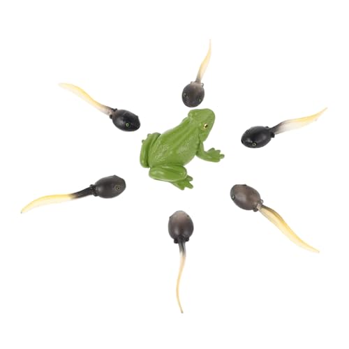 WEKADRIN Miniatur Froschfigur Realistische Frosch und Kaulquappenmodelle für DIY Aquarium Terrarium Detailreiche Mooslandschaft Deko für Garten und Bonsai WEKADRIN Miniatur Froschfigur Realistische Frosch und Kaulquappenmodelle für DIY Aquarium Terrarium Detailreiche Mooslandschaft Deko für Garten und Bonsai von WEKADRIN
