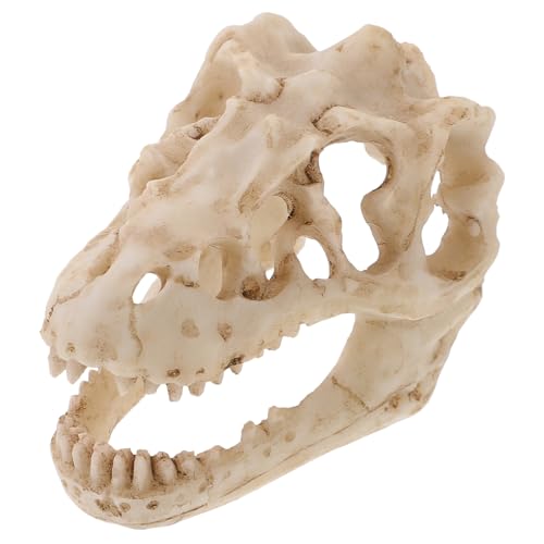 WEKADRIN Resin Dinosaur Skull Modell Kleiner Tyrannosaurus Schädel aus Langlebigem Realistisch Detailreich für Bürodekoration Terrarienzubehör und Schreibtischdisplay Kompakt und Leicht von WEKADRIN