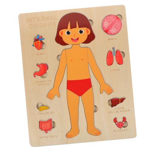 WEKAMOS 1 Satz Körperorgane Puzzlespielzeug für Pädagogisches Holzspielzeug zur des Wissens über Menschlichen Körper für Vorschule und Eltern Junge Mädchen Aktivitäten WEKAMOS 1 Satz Körperorgane Puzzlespielzeug für Pädagogisches Holzspielzeug zur des Wissens über Menschlichen Körper für Vorschule und Eltern Junge Mädchen Aktivitäten von WEKAMOS