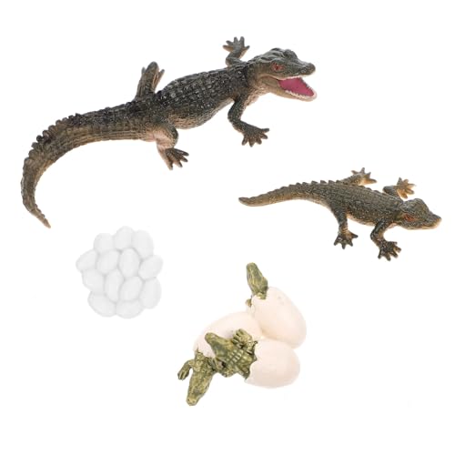 WEKAMOS 1 Satz Lernspielzeug Krokodil Lebenszyklus Figuren Pädagogische Requisiten für Frühe Bildung Kreative Projekte und Heimdekoration Teiliges zur Entdeckung der Natur WEKAMOS 1 Satz Lernspielzeug Krokodil Lebenszyklus Figuren Pädagogische Requisiten für Frühe Bildung Kreative Projekte und Heimdekoration Teiliges zur Entdeckung der Natur von WEKAMOS