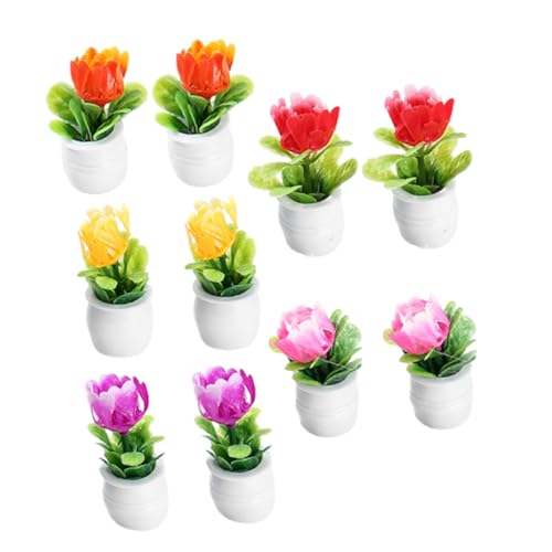 WEKAMOS 10 Stück Simulationspflanzenmodell Kunstpflanzen Künstliche Winzige Bonsai Dekoration Miniatur Topfpflanze Mini Topfpflanze Winziges Bonsai Modell Mini Hausbedarf Mini Fake Bonsai WEKAMOS 10 Stück Simulationspflanzenmodell Kunstpflanzen Künstliche Winzige Bonsai Dekoration Miniatur Topfpflanze Mini Topfpflanze Winziges Bonsai Modell Mini Hausbedarf Mini Fake Bonsai von WEKAMOS