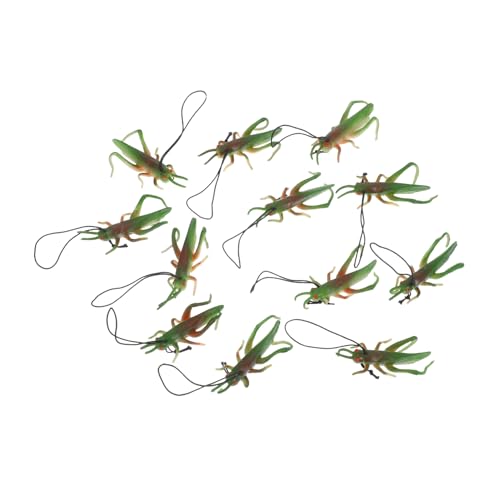 WEKAMOS 12 Stück Realistische Insekten Spielzeugfiguren aus Pädagogische Insekten für Entdeckungen Dekoration und Themenpartys von WEKAMOS
