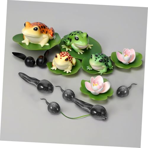 WEKAMOS 13 Stück Teiliges Miniatur Tierfiguren Kleine Frosch und Kaulquappen Dekoration für Teich und Aquarium Kreative Micro Landschaftsornamente für Garten Terrasse und Moosgarten DIY von WEKAMOS