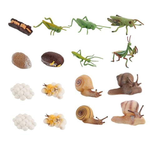 WEKAMOS 16 Stück Teiliges Tier wachstumszyklus Modellspielzeug Bunte Vorschul bildungsspielzeuge aus Sicherem Pädagogisches Lernspiel für Kreativität und Eltern Junge Zufällige Farbe von WEKAMOS
