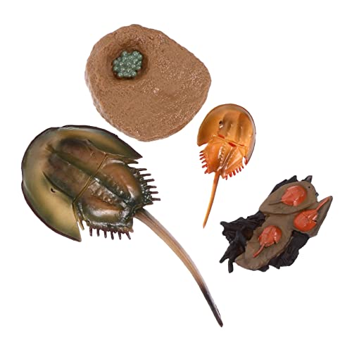 WEKAMOS Simulation Spielzeug Satz für Kinder Kleiner Meerestiere Lernspielzeug für Schreibtisch Dekoration und Lehrmittel WEKAMOS Simulation Spielzeug Satz für Kinder Kleiner Meerestiere Lernspielzeug für Schreibtisch Dekoration und Lehrmittel von WEKAMOS