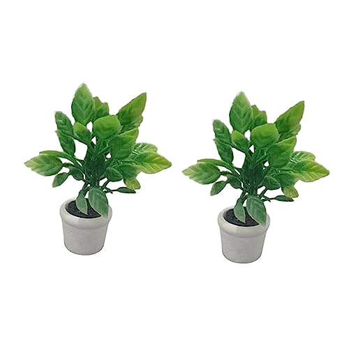 WEKAMOS 2 Stück Mini Künstliche Bonsai Pflanze Realistische Dekoration für Puppenhaus DIY Projekte und Modellbau für Garten Deko und Kreative Raumgestaltung WEKAMOS 2 Stück Mini Künstliche Bonsai Pflanze Realistische Dekoration für Puppenhaus DIY Projekte und Modellbau für Garten Deko und Kreative Raumgestaltung von WEKAMOS
