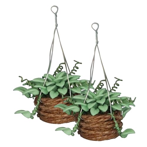 WEKAMOS 2 Stück Puppenhaus Topfpflanze Zimmerpflanze Pflanzen Für Den Innenbereich Mini Bonsai Mini Bonsai Topf Heimdekoration Zimmerpflanzen Zimmerpflanzen Hängende von WEKAMOS