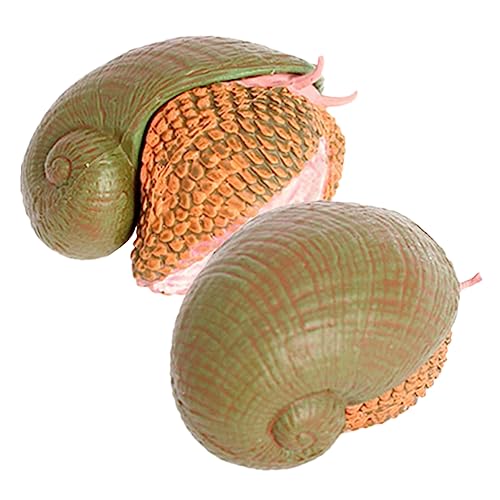 WEKAMOS 2 Stück Realistische Schneckenfigur Pädagogisches Modell für Dekoration für Garten und Balkon Lernspielzeug zur Tiererkennung und Kognitiven Entwicklung WEKAMOS 2 Stück Realistische Schneckenfigur Pädagogisches Modell für Dekoration für Garten und Balkon Lernspielzeug zur Tiererkennung und Kognitiven Entwicklung von WEKAMOS
