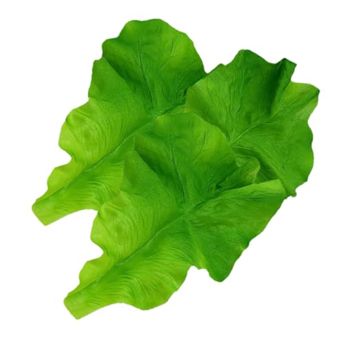 WEKAMOS 3 Stück Salatblattmodell Pflanzliche Requisiten Künstliches Gemüseblatt Dekoratives Salatblatt Simulation Grüner Pflanzen Simulationssalate Simulation Grüne Gurke Plastik Green WEKAMOS 3 Stück Salatblattmodell Pflanzliche Requisiten Künstliches Gemüseblatt Dekoratives Salatblatt Simulation Grüner Pflanzen Simulationssalate Simulation Grüne Gurke Plastik Green von WEKAMOS