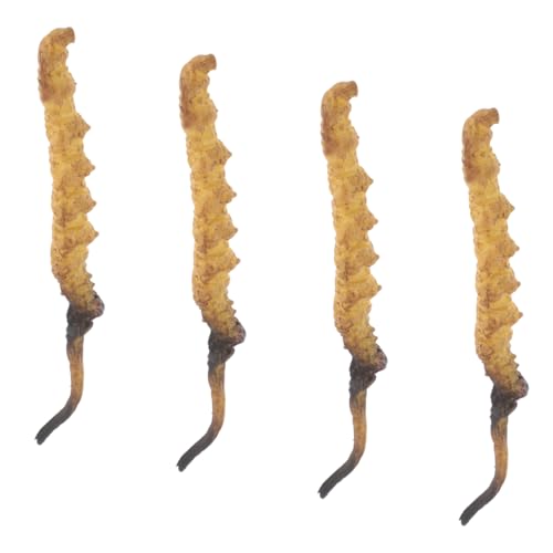 WEKAMOS 4 Stück Cordyceps -Modell Arztkoffer Modell Der Chinesischen Medizin Arzt Rollenspiel Requisiten Arztzubehör Medizinische Spielzeugartikel Plastik WEKAMOS 4 Stück Cordyceps -Modell Arztkoffer Modell Der Chinesischen Medizin Arzt Rollenspiel Requisiten Arztzubehör Medizinische Spielzeugartikel Plastik von WEKAMOS