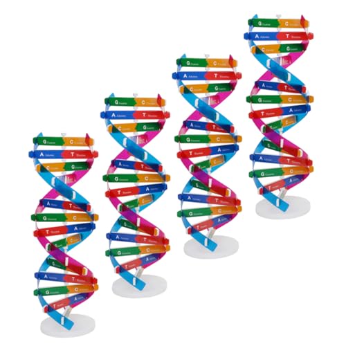 WEKAMOS 4 Stück Teiliges DNA Doppelhelix Modell DIY Bausatz mit Displayständer Präzise Molekulare Struktur Edukatives Human Genes Lernspielzeug für Schüler und Biologieunterricht von WEKAMOS